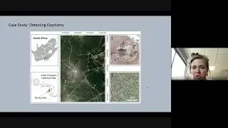 Using Very High-Res Satellite Imagery and Deep Learning/Machine Learning to detect African Elephants