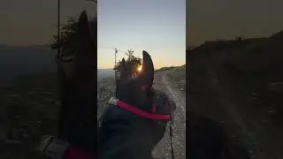 Подписывайтесь на мой инстаграм @gorets_dag