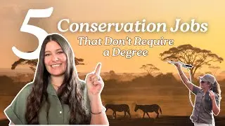 5 Wildlife Conservation Jobs that Don’t Require a Degree