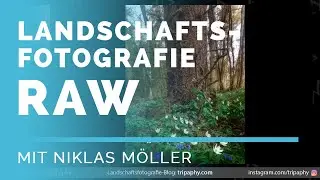 JPEG Bildbearbeitung WALDFOTOGRAFIE in Lightroom und Photoshop - Landschaftsfotografie RAW #39