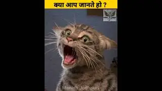 99% लोग नहीं जानते इन सवालों के जवाब | #shorts