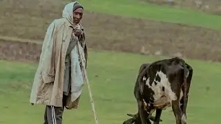 ተሰምቶ የማይጠገብ የአዝማሪ ማሲንቆ ጨዋታ New ethiopian azmari masinko music 2022 ቁ 2