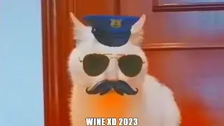 WINE XD 2023