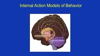 Motor and Social Skill Function: Connecting Learning and Brain Function in Autism