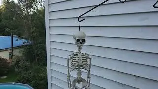 skeleton shitpost