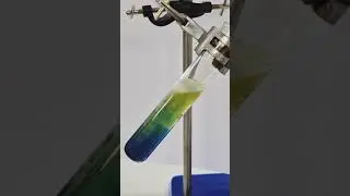 Rainbow Fizz! Simple Science Experiment