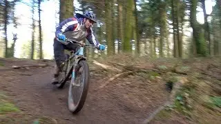 Shredding