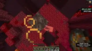 Minecraft 1.16 RSG in 16:38 [PB 8/3/22]