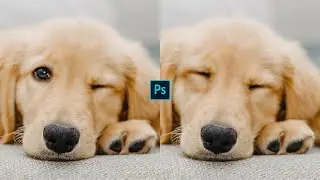 Stop Flipping, Use Clone Source #photoshop #photoshop_tutorial #shorts #graphicdesign