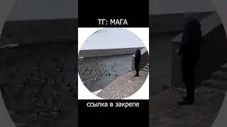 Пов: ты сильно хотел хлеба...
