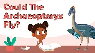 Could The Archaeopteryx Fly? | Archaeopteryx Facts | Dinosaur Facts | Dinosaur Facts For Kids