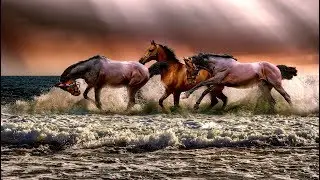 Newest Black and White Ultrasound From SonoScape, E1 V, Great for Equine