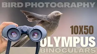 OLYMPUS 10x50 S Binoculars for Bird and Wildlife Photography