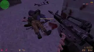 Counter-strike 1.6 Assault