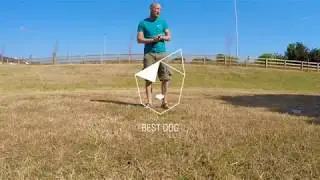 Find it (basic cue for reactive dogs)
