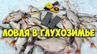 Catching white fish from ice. Found out a secret and started to catch