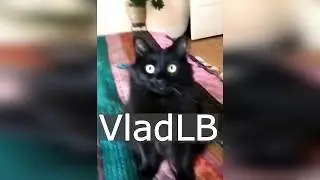 Травка для кошек. Прикол. VladLB.
