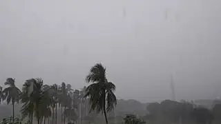 Rain and wind