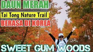 TAI TONG NATURE TRAIL ||SWEET GUM WOODS THE RED LEAVES