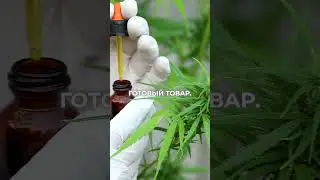 Бизнес, который никогда не автоматизируют