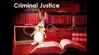 Best Online Criminal Justice Degree