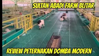 REVIEW OF MODERN SHEEP FARM SULTAN ABADI FARM BLITAR