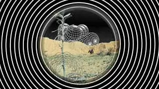 Hylozoist - Rebecca Nuvoletta