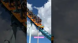 🎢 Standing Rollercoaster #rollercoaster #shorts #coaster #seaworld #surfing #fast #ride #epic #fyp