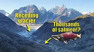 As Glaciers Retreat, New Salmon Habitat Is Emerging From Under The Ice | Ft. Jon Moore