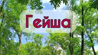ГЕЙША