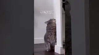 Сань, покормишь?)))