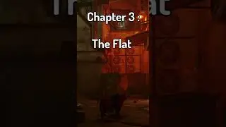 Stray explained in 30 seconds 