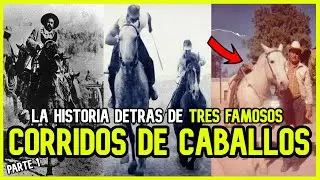 Los MAS FAMOSOS CABALLOS detrás de los corridos | 3 INCREIBLES HISTORIAS
