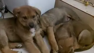 ИЩЕМ ДОБРЫХ МАМ 30:04:2022