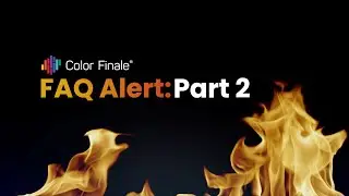 Color Finale 2 Standard vs Pro | Auto-Grading, Sharpness and Other Must-Knows