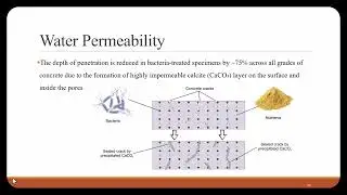 Techtalk-261#Topic: 
