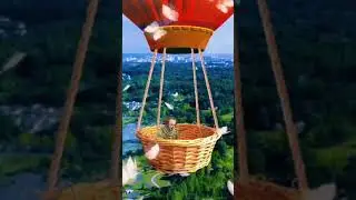 Pennywise - traveller