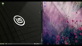 Linux Mint 21 vs MX Linux 21
