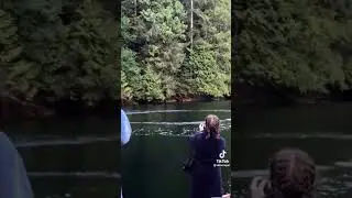 красоты мира