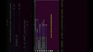 How to create directories in the linux terminal 