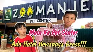 Main Ke Pet Center Zoo manjee Ada Hotel Hewannya Gaesss!!!