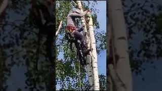 сброс макушки