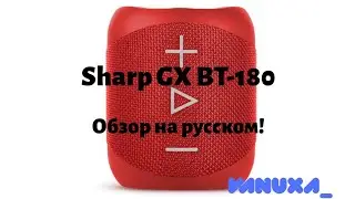 Sharp GX BT-180 | Обзор колонки на русском! | Сравнение с JBL Flip 4! | Проверка звука!