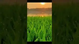 best videography.tiktok collection..