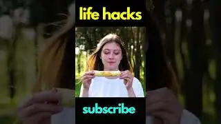 life hacks | do it yourself 2022