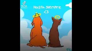 🐕Videos De tiktok de koco polinesio :'(💕✨🎀🐕 