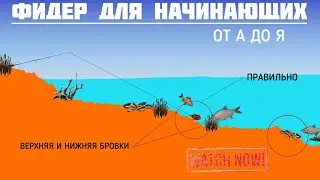 Is it worth buying a feeder? Feeder fishing for beginners from A to Z! What is a feeder anyway? #...