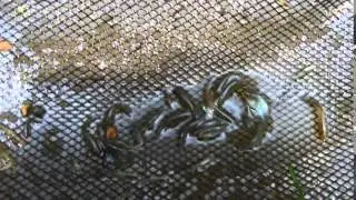 DSCF0458