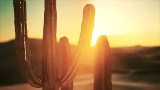 ARIZONA AERIALZ