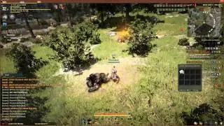 Black Desert Online OBT Korean : Blaider гринд ч. - Проверяем дуалы на мобах